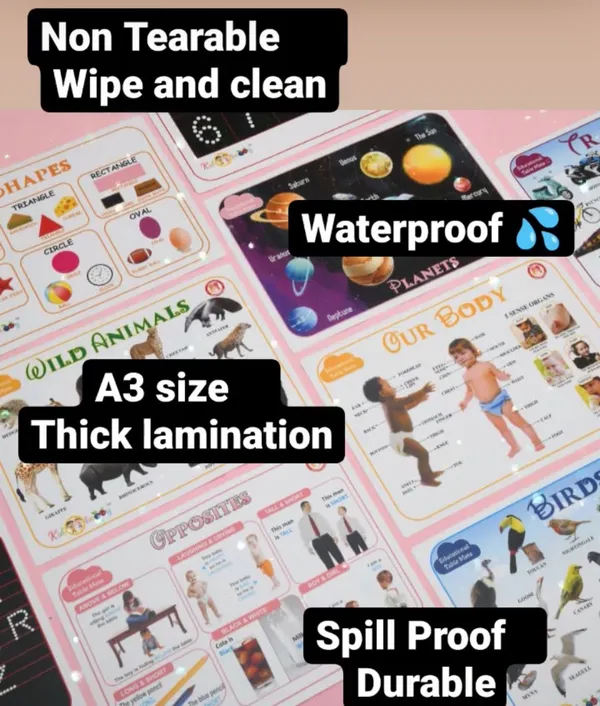 Non_Tearable_Educational_Mats_For_Kids