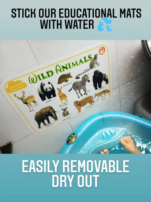 Non_Tearable_Educational_Mats_For_Kids