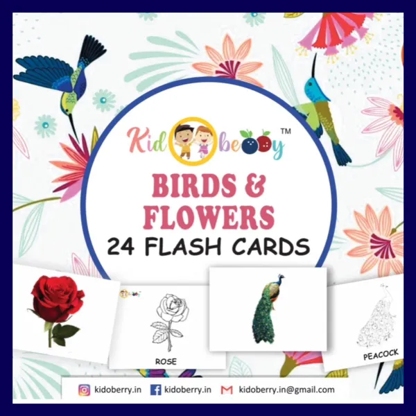 Birds_And_Flowers_Flash_Cards_For_Kids