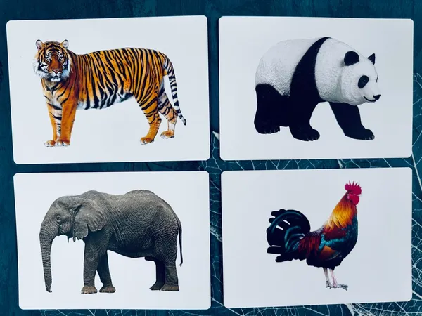 Animal_Flash_Cards_For_Kids
