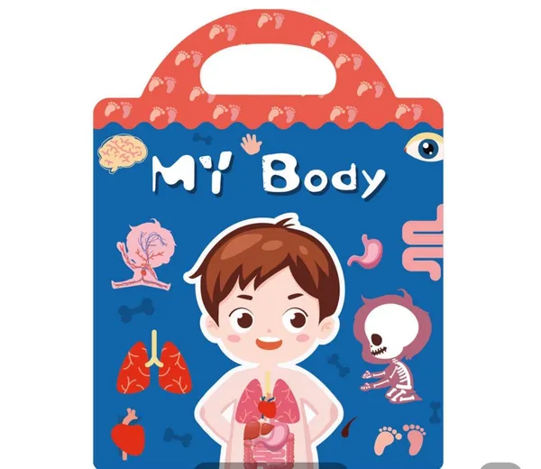 Human_Body_Reusable_Sticker_Book_For_Kids