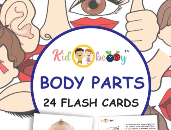 Body_Parts_Flash_Cards_For_Kids