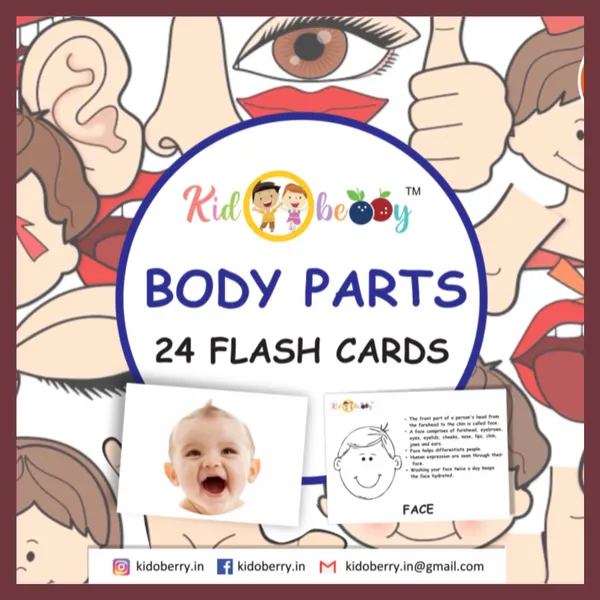 Body_Parts_Flash_Cards_For_Kids