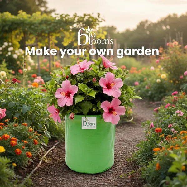 Green_18X18Inch_Hdpe_Plant_Grow_Bags_For_Terrace_Gardening_1_Piece_Outdoor_Use
