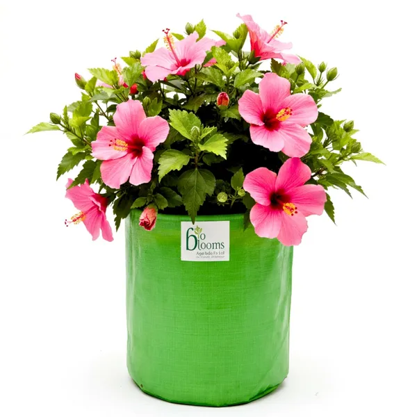 Green_18X18Inch_Hdpe_Plant_Grow_Bags_For_Terrace_Gardening_1_Piece_Outdoor_Use