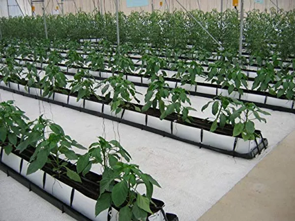 Gardening_Coir_Pith_High_Ec_5Kg_Approx_Expands_To_80_To_90_Litters_Volume_Pack_Of_1_4.5_To_5_Kgs