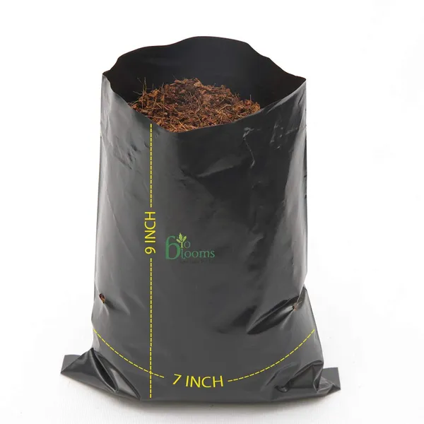 Black_Agro_Nursery_Seedling_Cover_Colour_7_X_9_Inches_100_Pcs