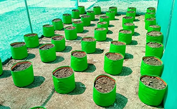 Green_&_Orange_9X12Inches_Hope_Plant_Grow_Bags_For_Terrace_Gardening_Pack_Of_5_Outdoor_Use