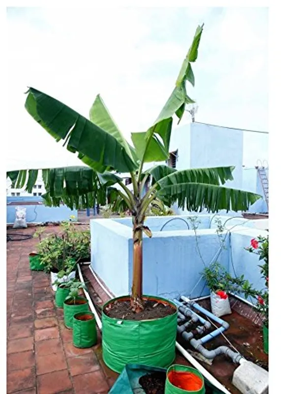Green_Orange_24_X_24_Inch_Hope_Plant_Grow_Bags_For_Terrace_Gardening_Pack_Of_10_Outdoor_Use