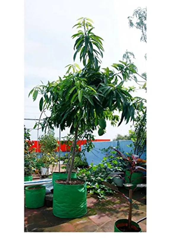 Green_Orange_24_X_24_Inch_Hope_Plant_Grow_Bags_For_Terrace_Gardening_Pack_Of_10_Outdoor_Use