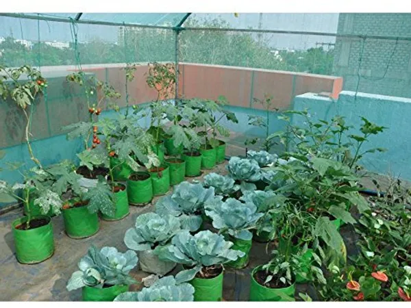 Green_9X9Inch_Hope_Plant_Grow_Bags_For_Terrace_Gardening_Pack_Of_2_Outdoor_Use
