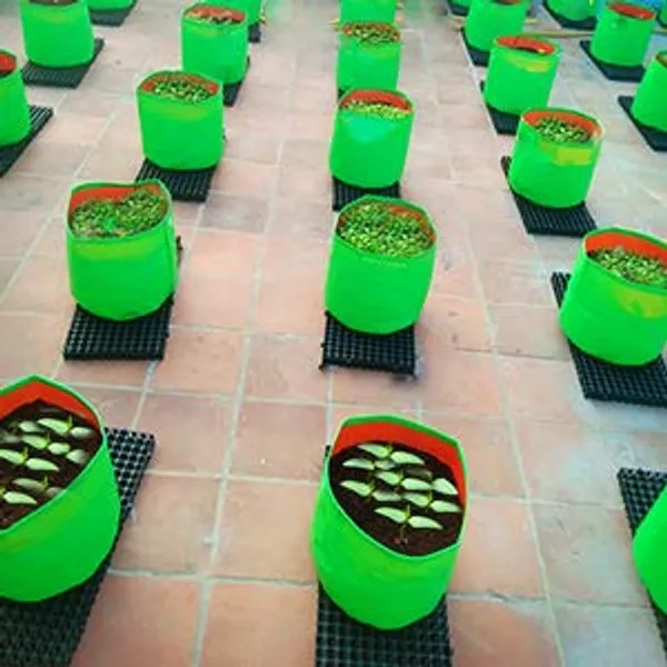 Black_Gardening_Interlocking_Drain_Mat_For_Terrace_Rooftop_Garden_Pack_Of_10