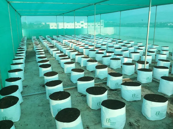 Grow_Bags_24X24X40_Cm_Strong_Stitching_Terrace_Balcony_Garden_Use_Portable_Weight_Durable_Outdoor_Planters_Pack_Of_100