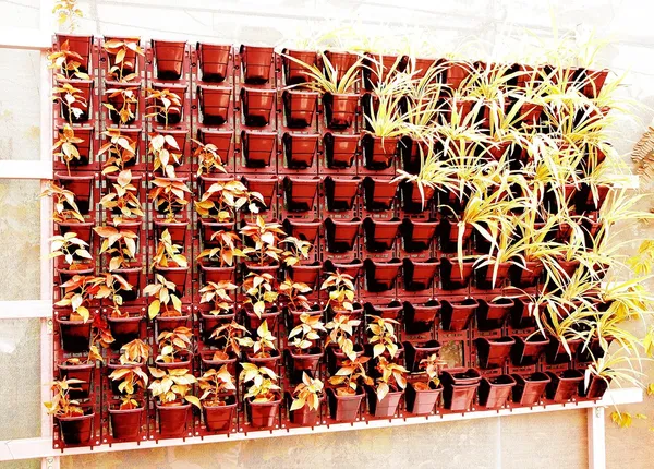 Brown_vertical_Pot_&panel_8_panel_24_pots