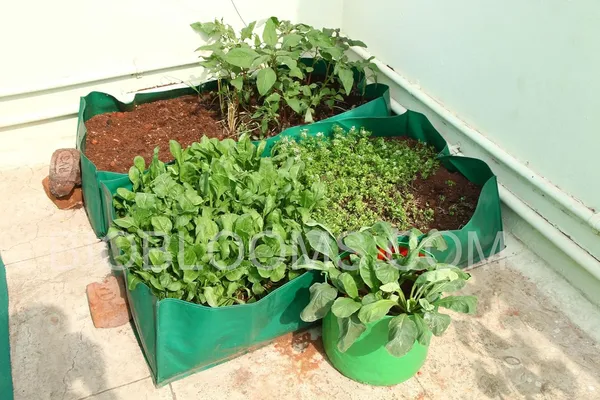 Dark_Green_36X18X9_Inches_Hdpe_Rectangular_Grow_Bags_For_Terrace_Gardening_1_Piece_Outdoor_Use