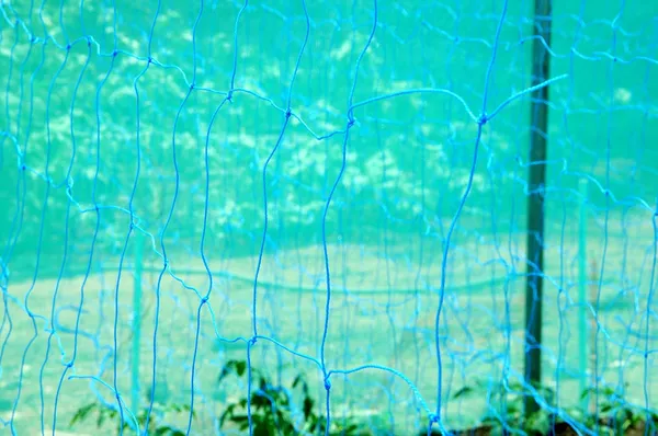 Blue_&_Black_Plant_Climbing_Creeper_Plant_Support_Net_3_X_5_M