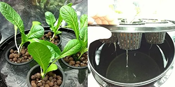 Black_Netted_Pots_For_Hydroponic_Aquaponic_Pot_Set_Of_4_Pcs