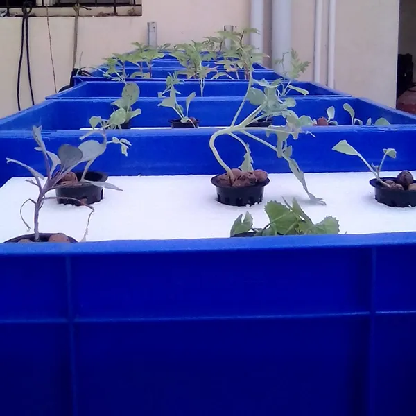 Black_Netted_Pots_For_Hydroponic_Aquaponic_Pot_Set_Of_4_Pcs