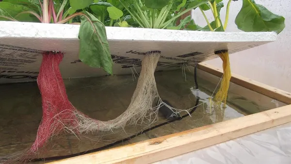 Black_Netted_Pots_For_Hydroponic_Aquaponic_Pot_Set_Of_4_Pcs