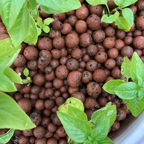 Clay_Balls_For_Hydro_Tons_Leca_Weight_Expanded_Aggregate_Ball_For_Hydroponics_And_Aquaponics_2_Kg