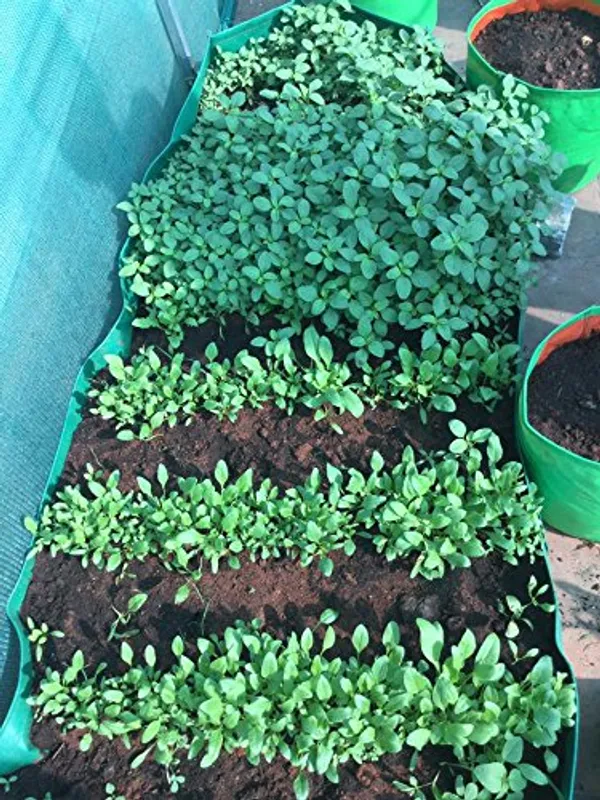 Green_&_Orange_36X18X9_Inch_Hope_Rectangular_Grow_Bag_For_Terrace_Gardening_1_Piece_Outdoor_Use