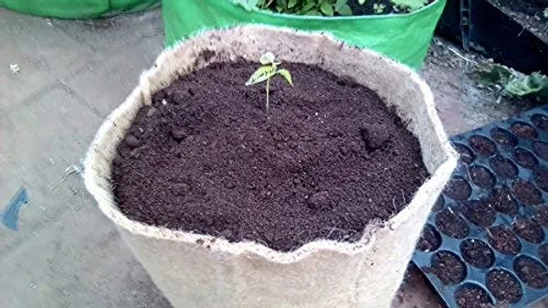 Beige_Jute_Grow_Bags_7_X_9_Inches_For_Eco_Friendly_Gardens_Easy_Grow_Bags_For_All_Plants_Absorbs_Water_Air_Breath_For_Roots_Set_Of_4_Bags