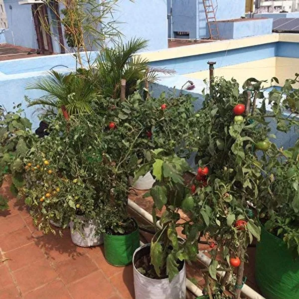 Green_12X12Inch_Hdpe_Plant_Grow_Bags_For_Terrace_Gardening_Pack_Of_10_Outdoor_Use