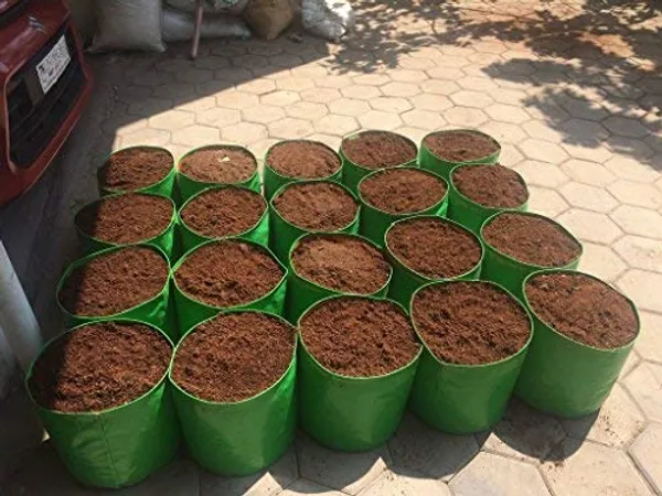 Green_12X12Inch_Hdpe_Plant_Grow_Bags_For_Terrace_Gardening_Pack_Of_10_Outdoor_Use