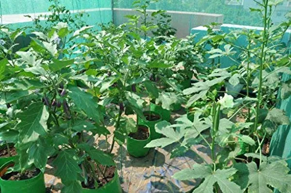 Green_12X12Inch_Hdpe_Plant_Grow_Bags_For_Terrace_Gardening_Pack_Of_10_Outdoor_Use