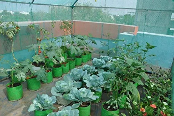 Green_12X12Inch_Hdpe_Plant_Grow_Bags_For_Terrace_Gardening_Pack_Of_10_Outdoor_Use