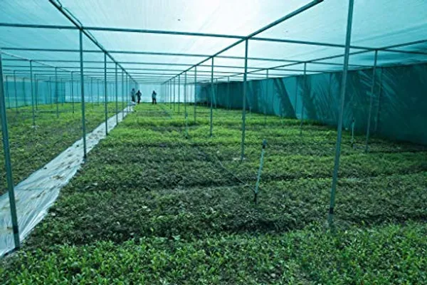 Green_Gardening_Shade_Net_50%_Shade_3X10_Meters_Role_And_Thin_And_Semi_Uv_Treated_For_Temporary_Uses