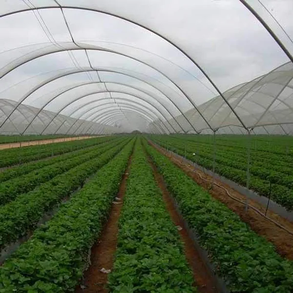 White_Gardening_Shade_Net_90%_Shade_3X20_Meters_Role_Thick_And_Uv_Treated_Long_Life