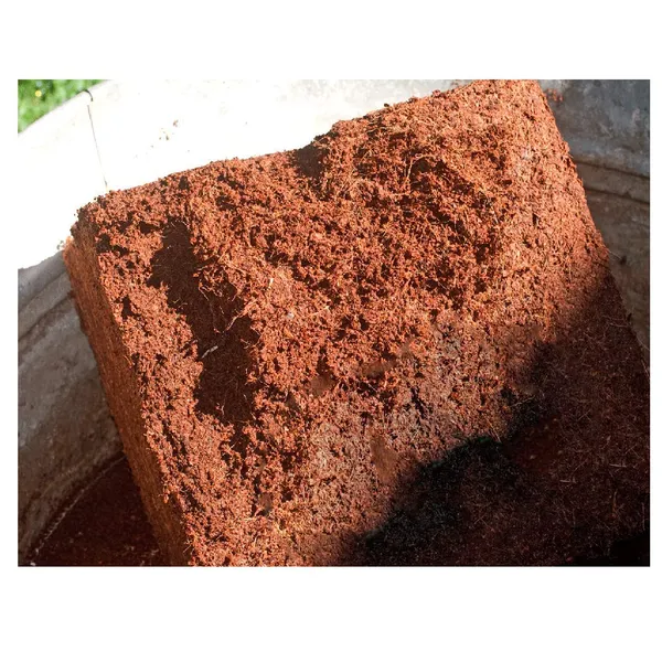 Brown_Gardening_Soil_Coir_Pith_Low_Ec_Coco_Peat_650_Germs_X_4_Pcs