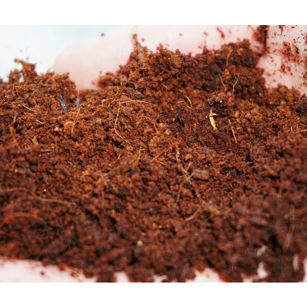 Brown_Gardening_Soil_Coir_Pith_Low_Ec_Coco_Peat_650_Germs_X_4_Pcs