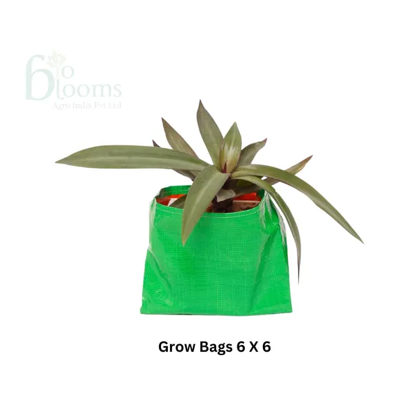 Green_6X6Inch_Hope_Plant_Grow_Bags_For_Terrace_Gardening_Pack_Of_10_Outdoor_Use