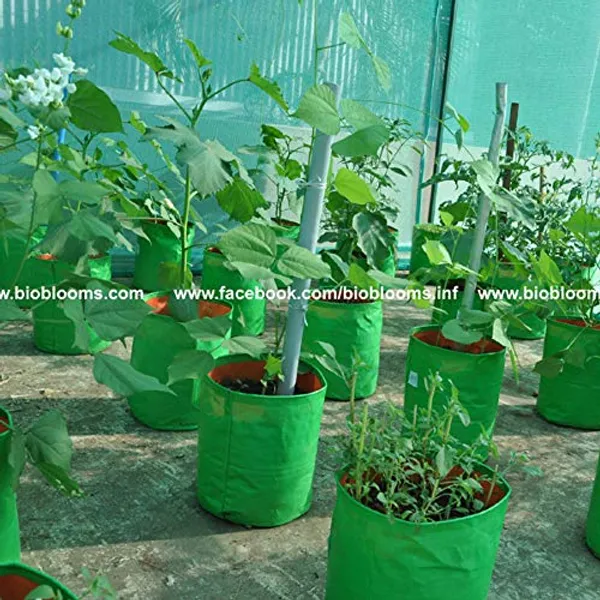 Green_6X6Inch_Hope_Plant_Grow_Bags_For_Terrace_Gardening_Pack_Of_10_Outdoor_Use