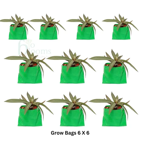 Green_6X6Inch_Hope_Plant_Grow_Bags_For_Terrace_Gardening_Pack_Of_10_Outdoor_Use