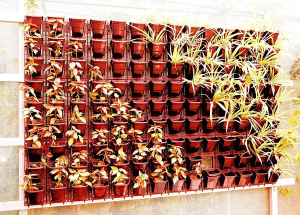 Brown_M1_Model_Vertical_Wall_Hanging_Garden_Pots_8_Panel_24_Pots_Outdoor_Use_Indoor