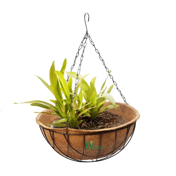 Brown_Coir_Hanging_Pot_10_Inches_Metal_Basket_With_Chain_Pack_Of_4_Outdoor_Use