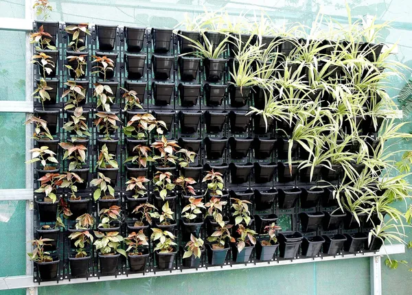 Black_M2_Model_Vertical_Wall_Hanging_Garden_Pots_8_Panel24_Pots_Outdoor_Use_Indoor