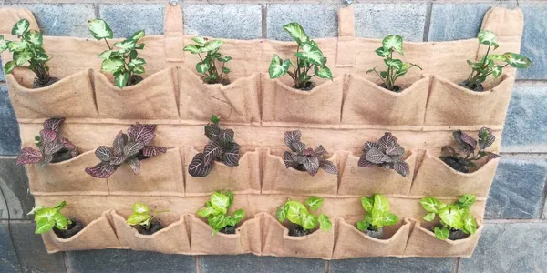 Brown_Jute_Planter_Bag_Brown_1_Piece