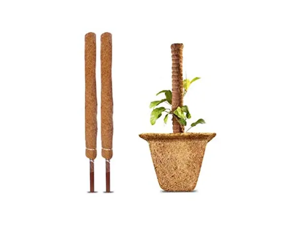 Brown_Coco_Pole_Coir_Moss_Stick_Plant_Creepers_Support_1_Feet_4_Pieces_Indoor_And_Outdoor_Uses