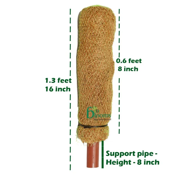 Brown_Coco_Pole_Coir_Moss_Stick_Plant_Creepers_Support_1_Feet_4_Pieces_Indoor_And_Outdoor_Uses