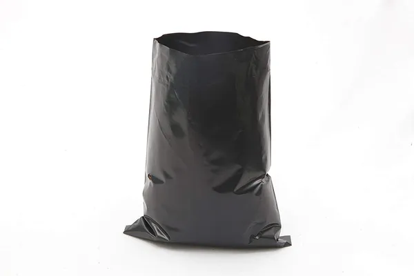 Black_Nursery_Cover_For_Seedling_Germination_4X6_Inch_Pack_Of_100_Outdoor_Use