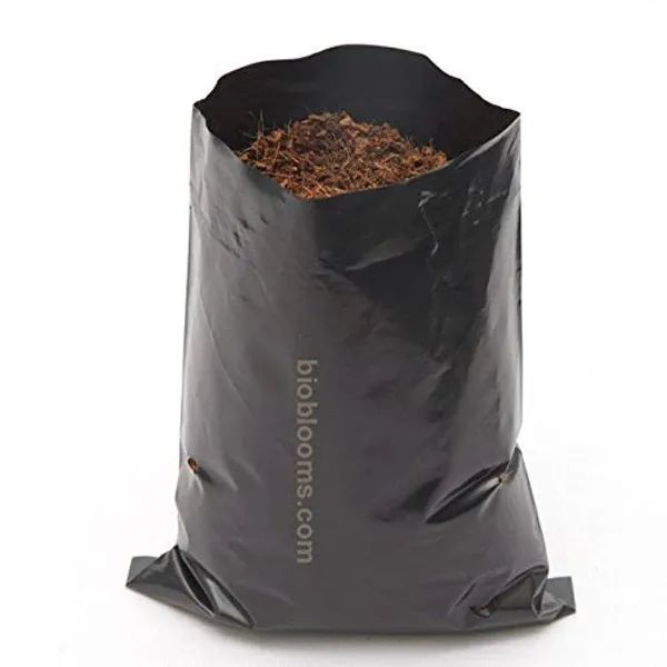 Black_Nursery_Cover_For_Seedling_Germination_4X6_Inch_Pack_Of_100_Outdoor_Use