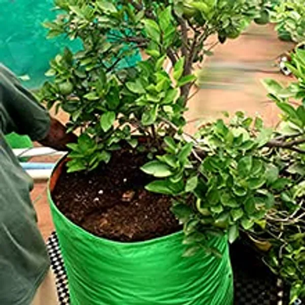 Green_&_Orange_18X18Inch_Hope_Plant_Grow_Bags_For_Terrace_Gardening_Pack_Of_10_Outdoor_Use