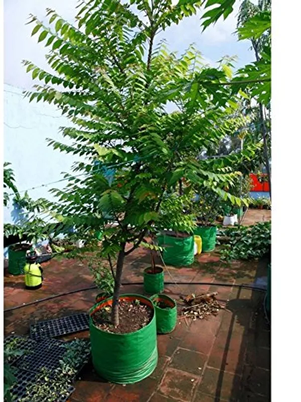 Green_&_Orange_15X15Inch_Hdpe_Plant_Grow_Bags_For_Terrace_Gardening_Pack_Of_10_Outdoor_Use