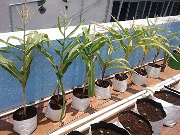 Black_&_White_Smart_Garden_Ldpe_Grow_Bags_For_Terrace_Gardening_20_Pcs_Big_Size_28X28X60Cms_Uv_Stabilized_Grow_Bags_20_Bags