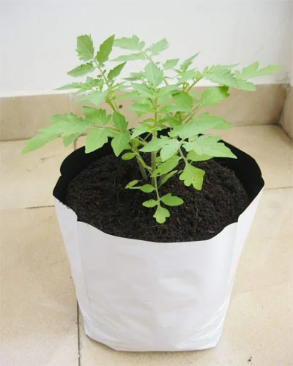 Black_&_White_Smart_Garden_Ldpe_Grow_Bags_For_Terrace_Gardening_20_Pcs_Big_Size_28X28X60Cms_Uv_Stabilized_Grow_Bags_20_Bags