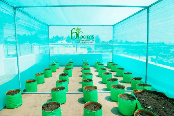Bioblooms_Agro_India_9X9Inch_Hdpe_Plant_Grow_Bags_For_Terrace_Gardening_Pack_Of_10_Outdoor_Use